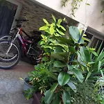 Apartment Flowers
