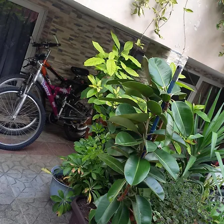 Apartmán Flowers