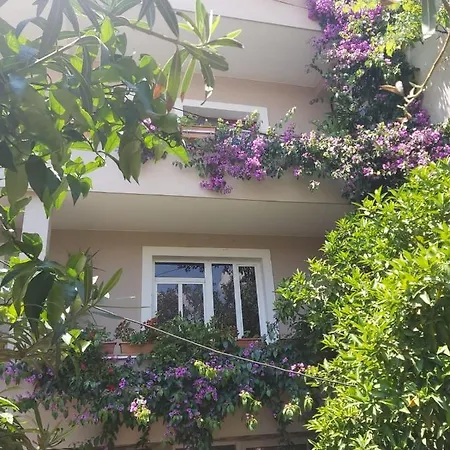 Apartment Flowers