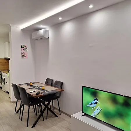 Flowers Apartment *